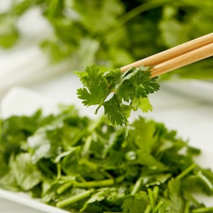 香菜 约70g 新鲜蔬菜当天采摘