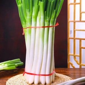 2025头茬大葱原汁原味正宗精品铁杆大葱农家现挖现发新鲜脆嫩 去半叶带箱9斤装